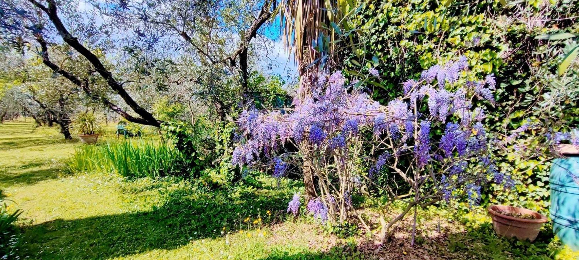 Villa La casa dei nonni Larciano Esterno foto