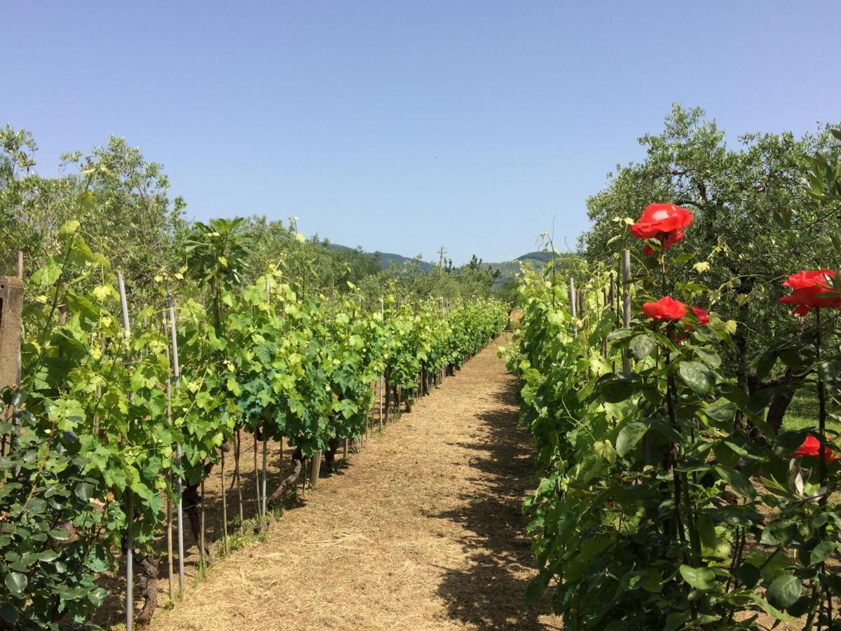 Villa La casa dei nonni Larciano Esterno foto
